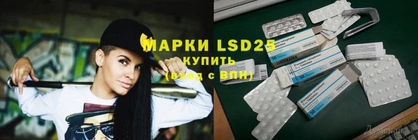 PSILOCYBIN Волосово