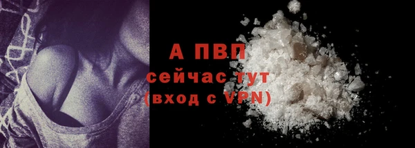 PSILOCYBIN Волоколамск