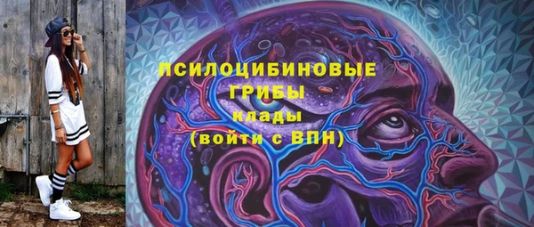 сатива Вязники