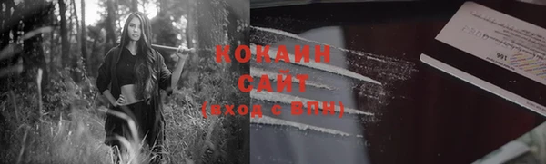 сатива Вязники