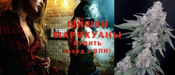 PSILOCYBIN Волосово