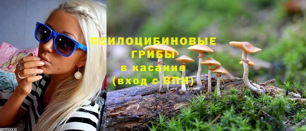 гашик Володарск