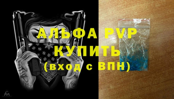 PSILOCYBIN Волосово