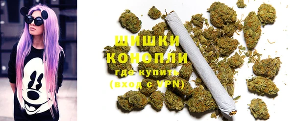 PSILOCYBIN Волосово