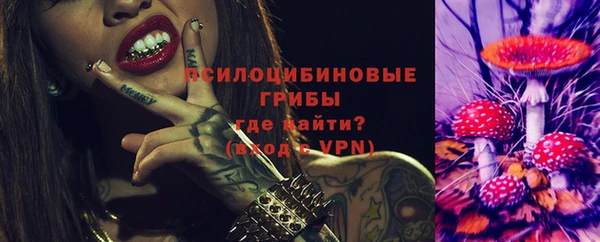 гашик Володарск