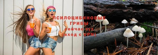 сатива Вязники