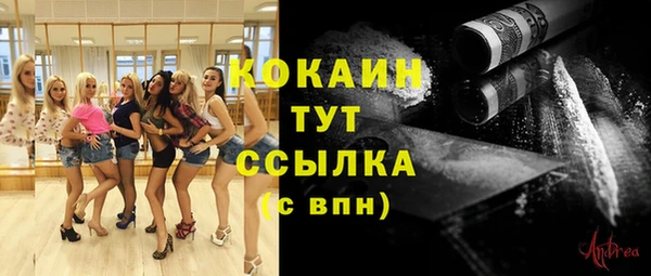 гашик Володарск
