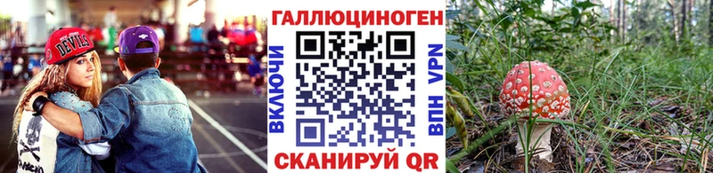 Галлюциногенные грибы Cubensis  Купить где  Кохма 